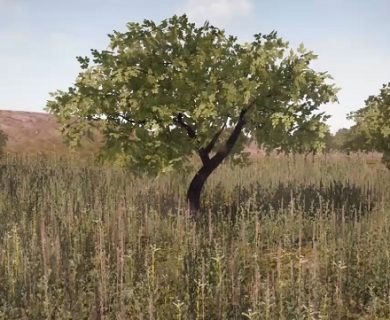 آموزش ساختن درخت های Low Poly در تری دی مکس آموزش ساختن درخت های Low Poly در تری دی مکس