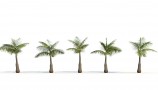 R&D Group - iTrees Vol 1 Palms (11)