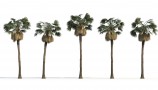 R&D Group - iTrees Vol 1 Palms (2)