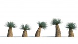 R&D Group - iTrees Vol 1 Palms (3)