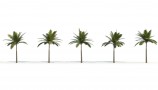 R&D Group - iTrees Vol 1 Palms (4)