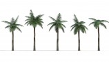 R&D Group - iTrees Vol 1 Palms (6)
