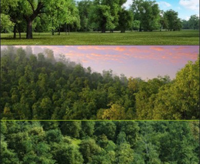 دانلود رایگان مدل سه بعدی درخت تابستانی(مجموعه دوم)