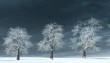 R&D Group - iTrees Vol 3 Winter (1)