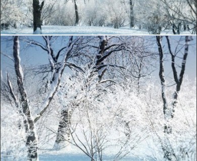 مدل سه بعدی درخت زمستانی(مجموعه سوم)