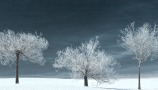 R&D Group - iTrees Vol 3 Winter (10)