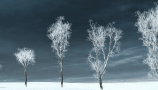 R&D Group - iTrees Vol 3 Winter (4)
