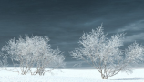 R&D Group - iTrees Vol 3 Winter (5)