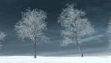 R&D Group - iTrees Vol 3 Winter (6)