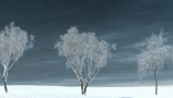 R&D Group - iTrees Vol 3 Winter (8)