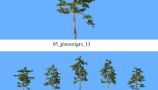 R&D Group - iTrees Vol 5 Pine Trees (3)