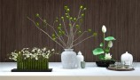Decoration Full Collection 2015 (18)