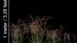 VizPark - Real Grass (3)