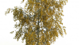 R&D Group - iTrees Vol 1 Autumn (4)