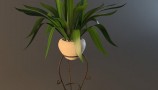 3DDD - Modern Plant (7)