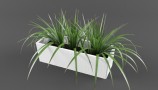 3DDD - Modern Plant (9)