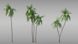 Maxtree - Complete Collection 3D Plants (13)