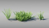 Maxtree - Complete Collection 3D Plants (15)