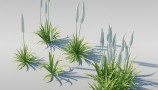 Maxtree - Complete Collection 3D Plants (4)