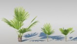 Maxtree - Complete Collection 3D Plants (5)