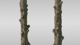 Maxtree - Complete Collection 3D Plants (6)