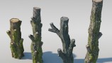 Maxtree - Complete Collection 3D Plants (7)