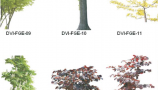 Dosch Design - 2D Viz-Images Foreground Plants & Trees (2)