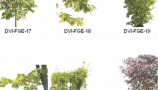 Dosch Design - 2D Viz-Images Foreground Plants & Trees (3)