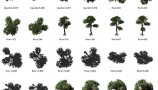 Dosch Design - 2D Viz-Images Bird’s Eye Trees (10)