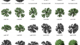 Dosch Design - 2D Viz-Images Bird’s Eye Trees (3)