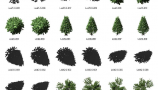 Dosch Design - 2D Viz-Images Bird’s Eye Trees (4)