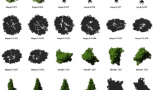 Dosch Design - 2D Viz-Images Bird’s Eye Trees (8)
