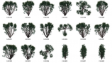 Dosch Design - 2D Viz-Images Plants (12)