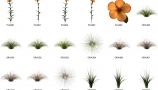 Dosch Design - 2D Viz-Images Plants (13)