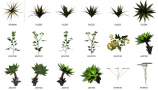 Dosch Design - 2D Viz-Images Plants (14)