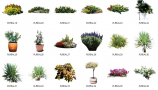 Dosch Design - 2D Viz-Images Plants (2)