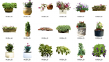 Dosch Design - 2D Viz-Images Plants (3)
