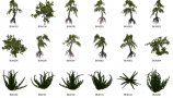 Dosch Design - 2D Viz-Images Plants (7)