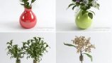 3D66 - Table Vases Flower Collection (3)
