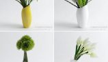 3D66 - Table Vases Flower Collection (4)