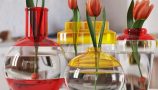 Pro 3DSky - Tulip Vase (1)