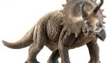 pro-3dsky-best-model-of-the-week-triceratops-2