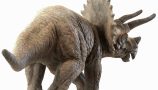 pro-3dsky-best-model-of-the-week-triceratops-3