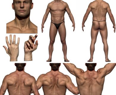 مدل سه بعدی آناتومی بدن مرد به همراه Colour Maps
