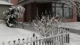 making-of-snow_0_232