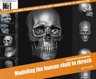 آموزش مدلسازی جمجمه انسان در zbrush