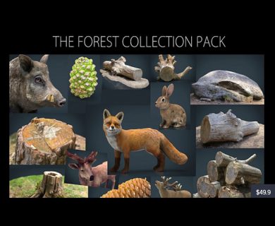 مجموعه مدل های سه بعدی برای شبیه سازی جنگل