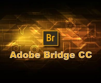 دانلود رایگان نرم افزار Adobe Bridge 2021 v11.0.1.109