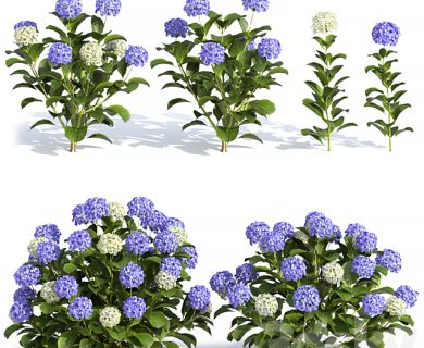 مدل سه بعدی ساحل مدل سه بعدی ساحل