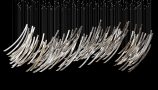 3951046.61f789cdf3339